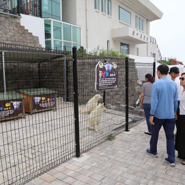 관람객들의 인기를 독차지 하고 있는 풍산개 금강과 해랑